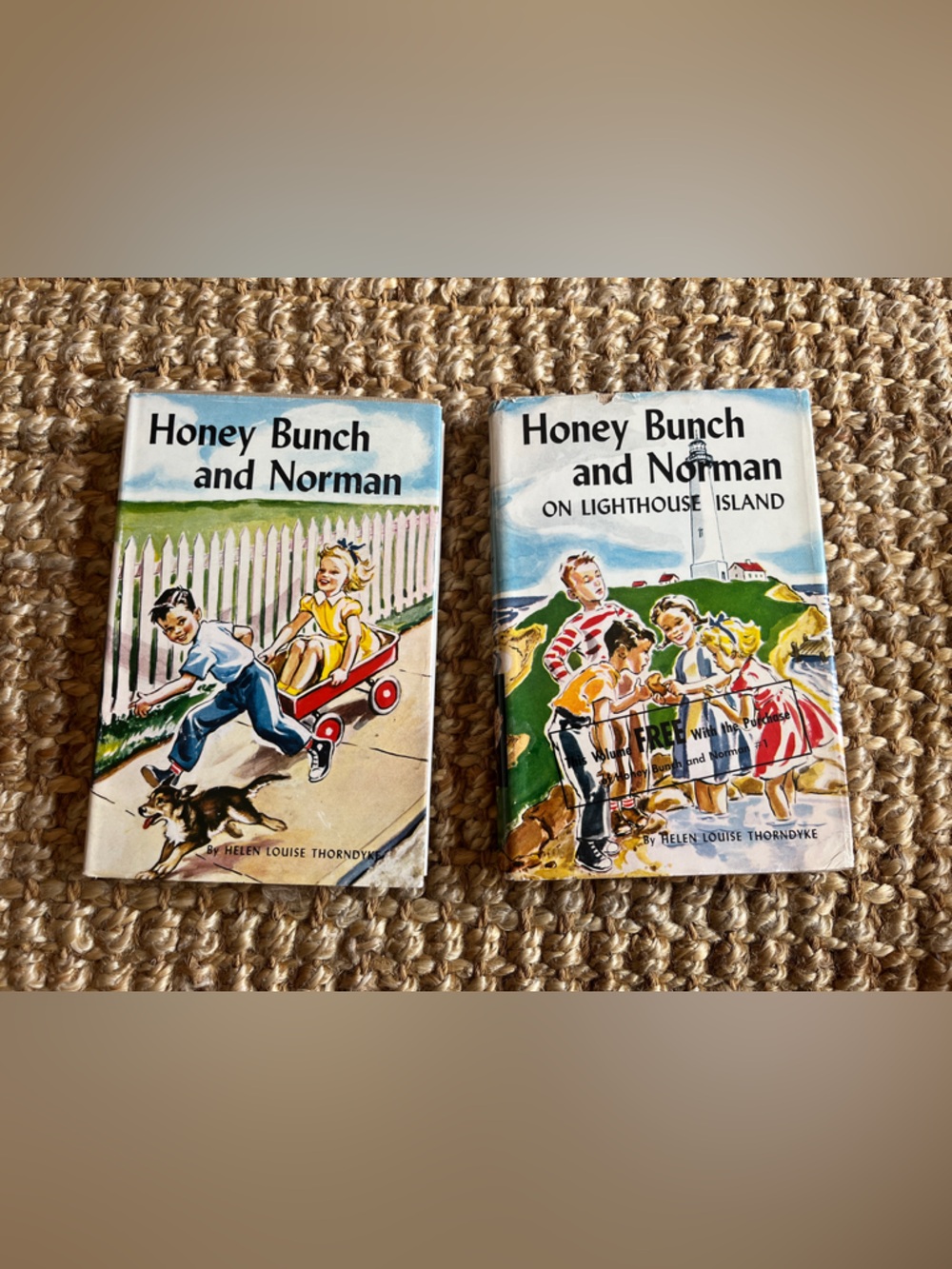 Honey Bunch and Norman Vintage Children's Books - Colorful Illustrated Covers
